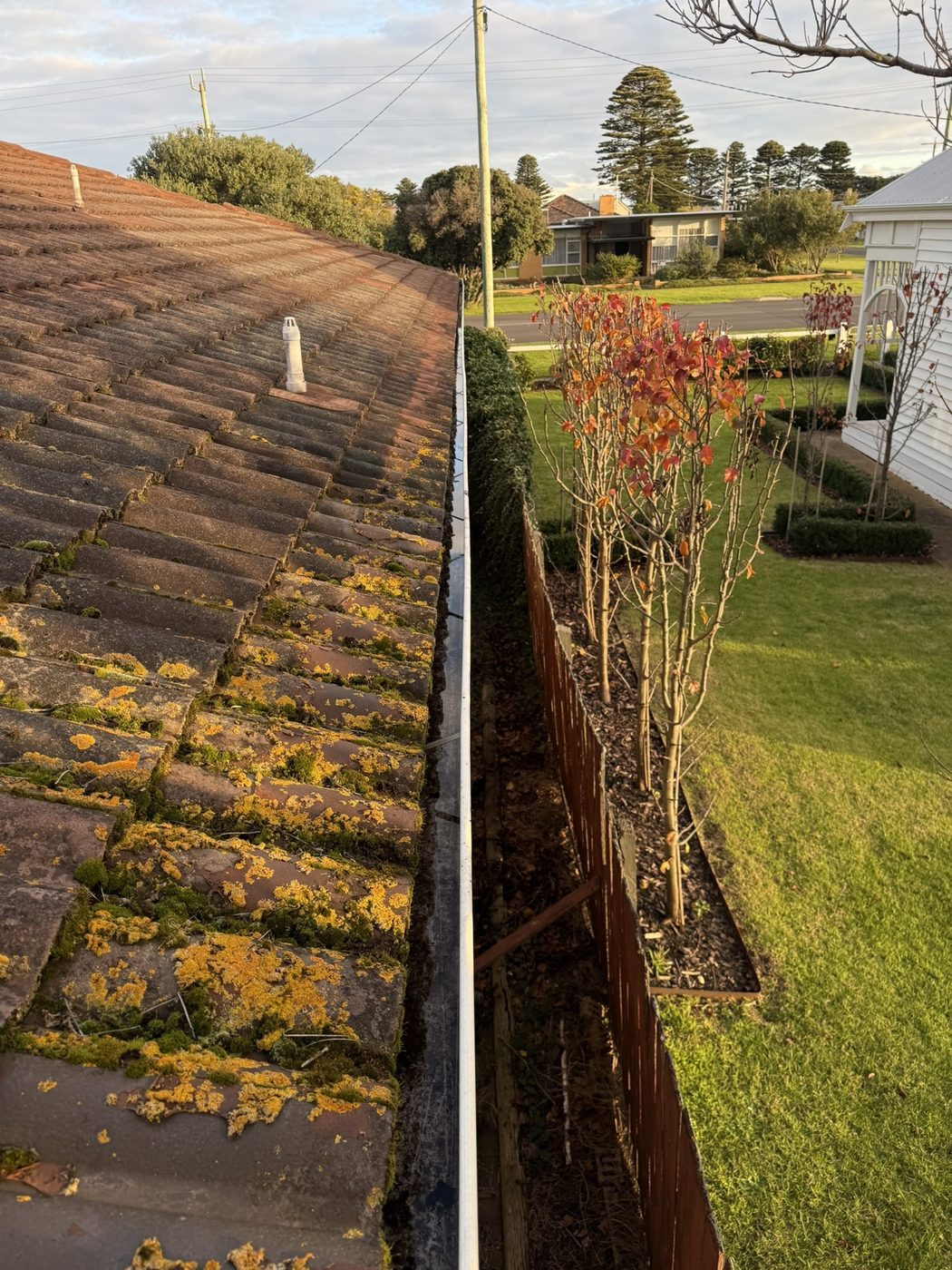 Clean gutter after cleaning