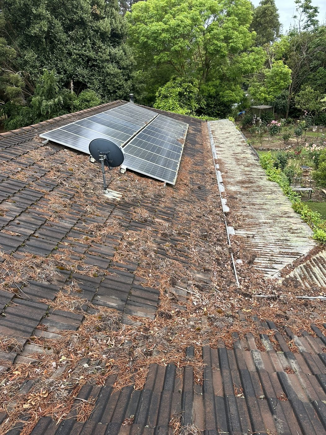 Gutter before cleaning