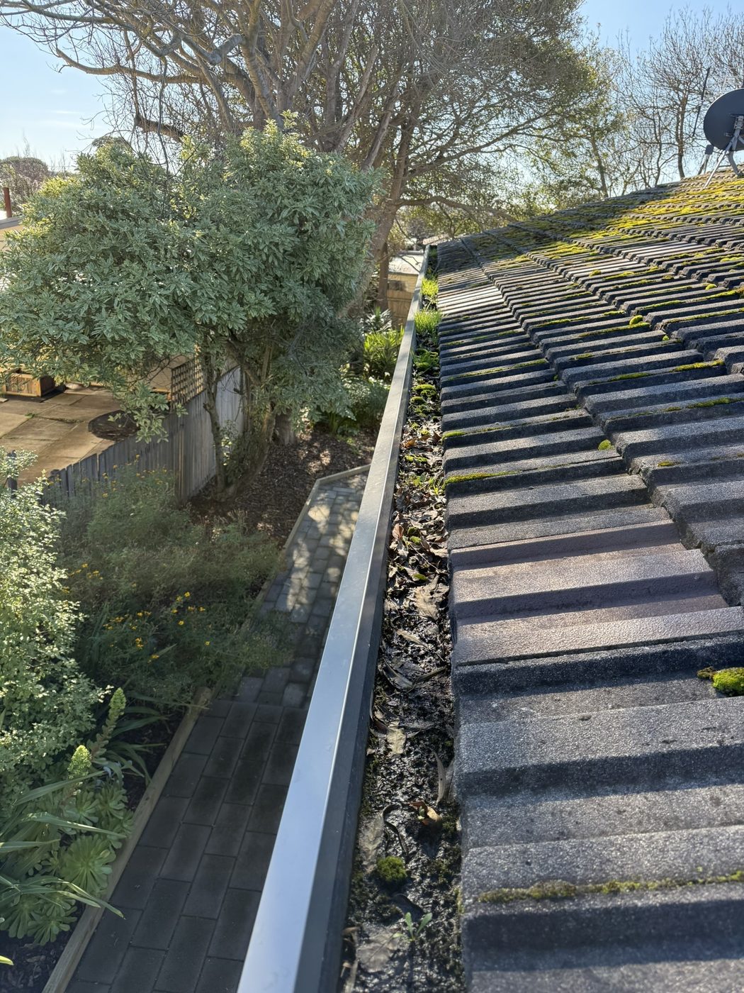 Gutter before cleaning