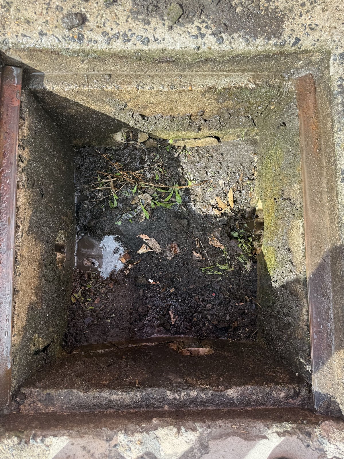 Stormwater drain before clearing