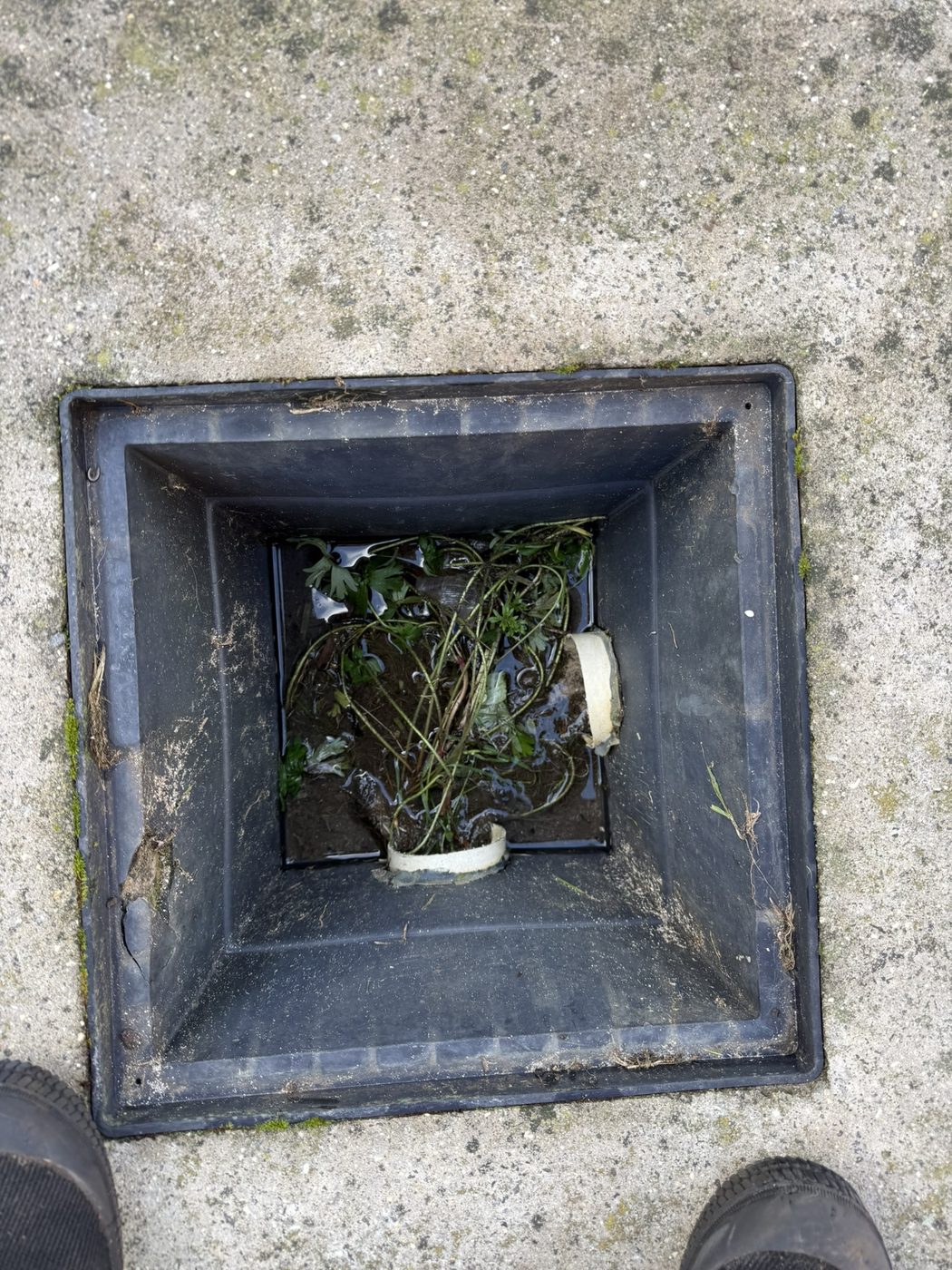 Gutter before cleaning