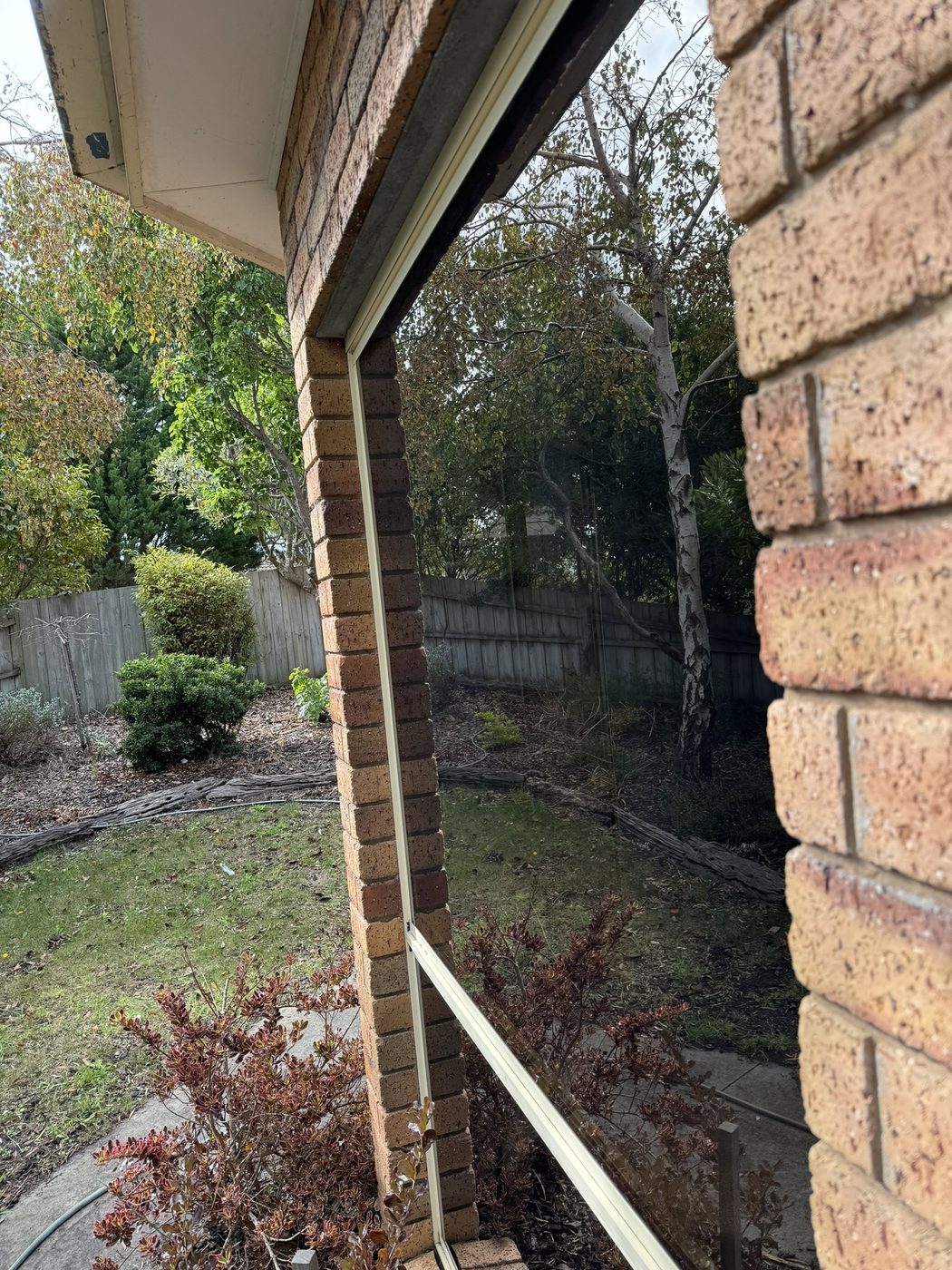 Window after cleaning